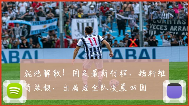 就地解散！国足最新行程，扬科维奇放假，出局后全队凌晨回国