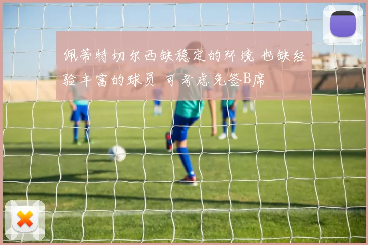 佩蒂特切尔西缺稳定的环境 也缺经验丰富的球员 可考虑免签B席